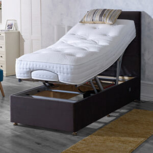 Ludlow Electric Bed